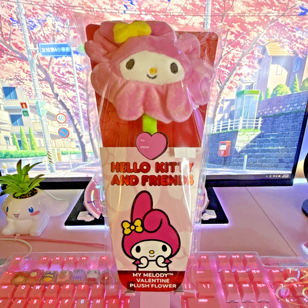 Hello Kitty & Friends My Melody Flower Pink Plush Valentine Green 2025 Sanrio